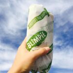 top sandwich franchise